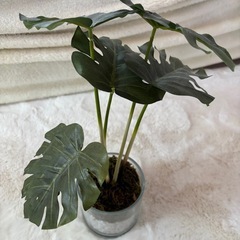 観葉植物（造花）