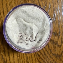 恐竜　サンドアートの画像