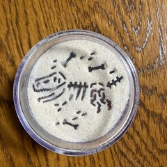 恐竜　サンドアートの画像