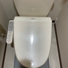 トイレの便座