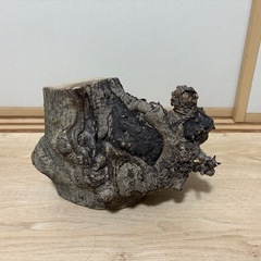中型流木のテラリウム用品