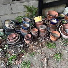 【無料】植木鉢たくさん