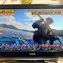 テレビ
