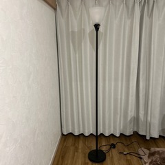ライト