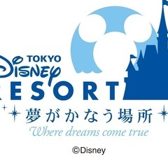 ディズニーリゾート干支ぬいぐるみバッジミッキー探してます