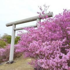 4/5(土)ゆる〜い豊田お花見ピクニックツーリング