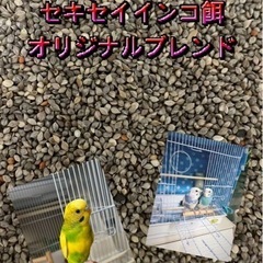 1キロ　セキセイインコ餌