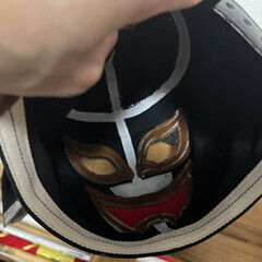 プロレスマスク　忍者マスクの画像