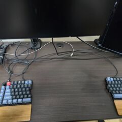 【8000円→4000円に値下げ】ニトリ 昇降デスク マーフィー2 120 DBRの画像