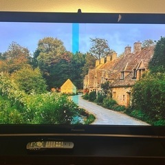 ［無料］ビエラ 42型プラズマテレビ（Panasonic TH-...