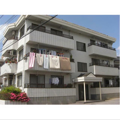 【🎈入居費用16万円🎈】🏅審査No.1🏅 🔥日暮里舎人ライナー 見沼代親水公園 徒歩13分🔥 - 草加市