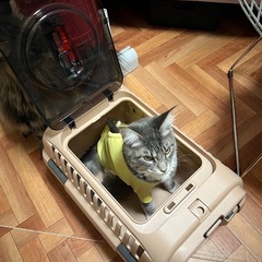 リッチェル　キャリーケースの画像