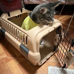 リッチェル　キャリーケースの画像