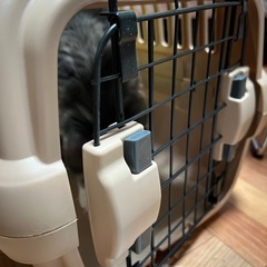 リッチェル　キャリーケースの画像