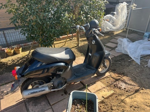 AF61 トゥデイ 不動