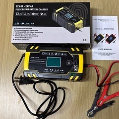 pulse repair battery charger