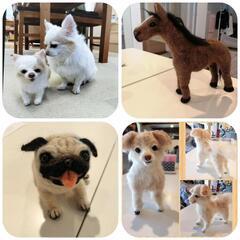 羊毛フェルト教室🐶そっくり愛犬制作の画像