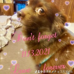 お庭をキレイに😊🌈 − 千葉県