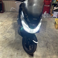 PCX JF56