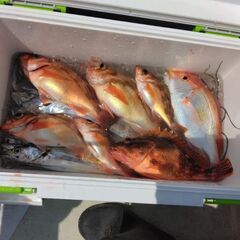 釣り仲間募集 − 富山県