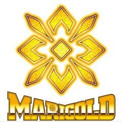 マリーゴールドファンのアラフォーの皆さん、お友達になって下さい‼️