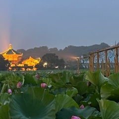 上野公園辺りを夜散歩