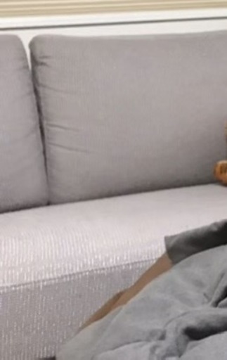★早い者勝ち・定価30万★お洒落　Living Sofa ハイクオリティソファー　イゾラ　3人掛け