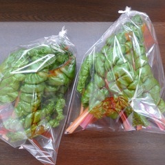 野菜 無料プレゼント！ 仙台市宮城野区