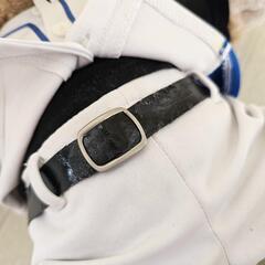 【ぬいぐるみ込み】ファイターズバージョン ダッフィーぬいぐるみの画像