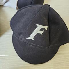 【ぬいぐるみ込み】ファイターズバージョン ダッフィーぬいぐるみの画像