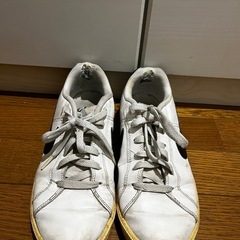 ナイキ　NIKE コートロイヤル25cmの画像