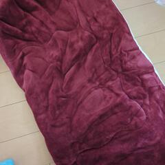 ワインレッドモコモコ