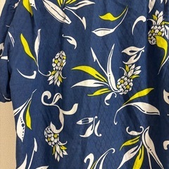 かりゆし④の画像