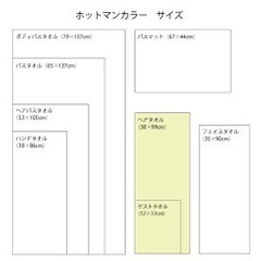 【2枚セット】Hotman STYLE OF LIVING ホットマン 1秒タオル ヘアタオルの画像