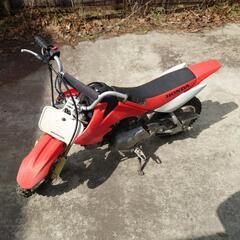 CRF50 子供用　再募集します