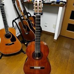 単板モデル　ZENON　全音　金玲　日本製ビンテージ　ギター