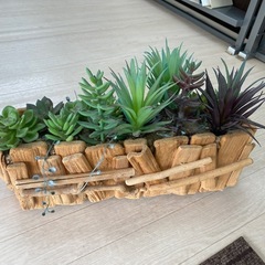 多肉植物　インテリア　レプリカの画像