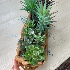 多肉植物　インテリア　レプリカの画像
