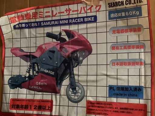 電動愛用ミニレーサーバイク