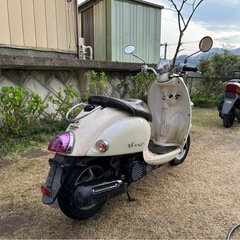 ビーノ‼️現状販売‼️の画像