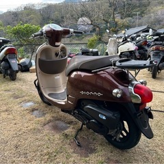 ホンダ　ジョルノ‼️ 女性に大人気‼️の画像
