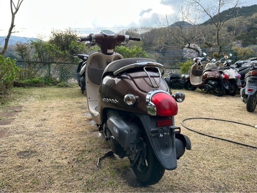 ホンダ‼️可愛いジョルノ‼️