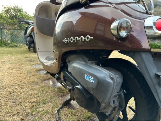 ホンダ‼️可愛いジョルノ‼️