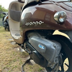 ホンダ‼️可愛いジョルノ‼️の画像