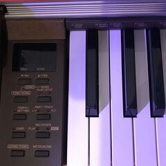 【最上位モデル】CASIO 電子ピアノ PX-800の画像
