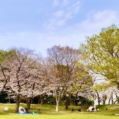 【アウトドア】一緒に遊びませんか？🌸