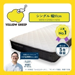 【4/6迄の限定販売】シングル エアーマットレスの画像