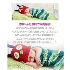 はらぺこあおむしの画像