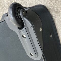 Team Realtree スーツケースの画像