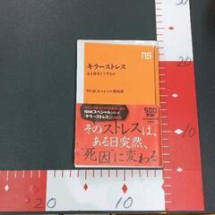 洋書まとめ売り丸善メイツFOSSETTE (とらまま) りんくうタウンの